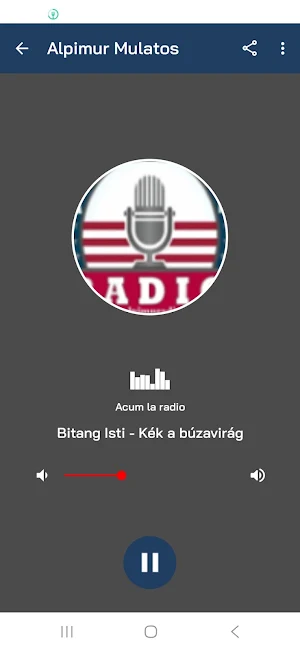 Radio Alpimur Screenshot 0