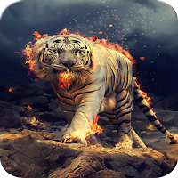 Tiger Wallpaper
