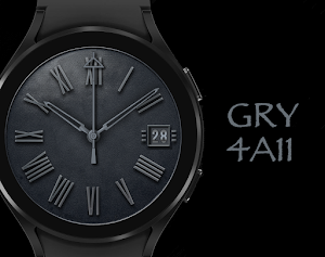 GRY 4A11 Screenshot 2