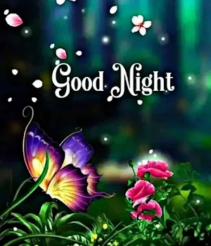 good night my love Screenshot 0