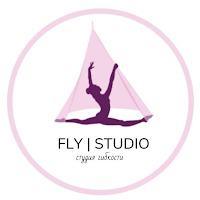 Fly Studio