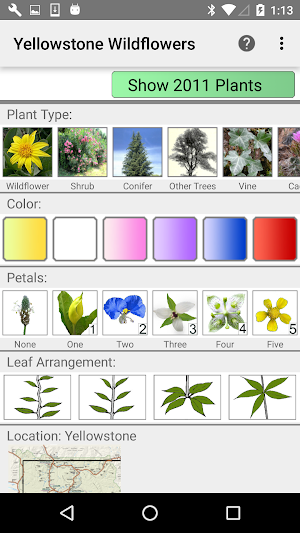 Yellowstone Wildflowers Screenshot 0