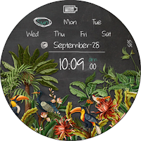 BFF137- Blackboard Art Birds