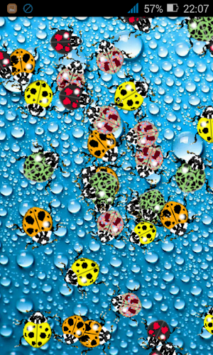 LadyBugs on water Screenshot 1