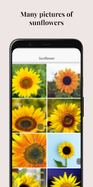 Mother's Day Amazing Flowers Screenshot 1