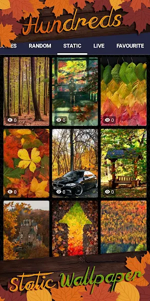 autumn background Screenshot 3