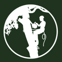 ALX Tree Service