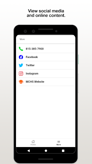 MCHS Tip Screenshot 2
