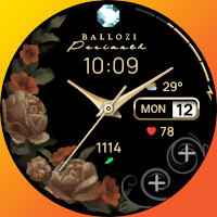 Ballozi PERIANTH Watch Face