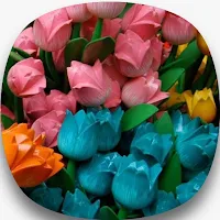 flowers wallpaper 4K