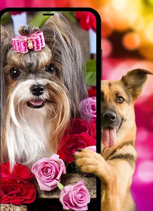 Dogs & puppies Wallpapers HD+ Screenshot 1
