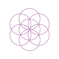 Yoga Timer - FlowBuilder.yoga