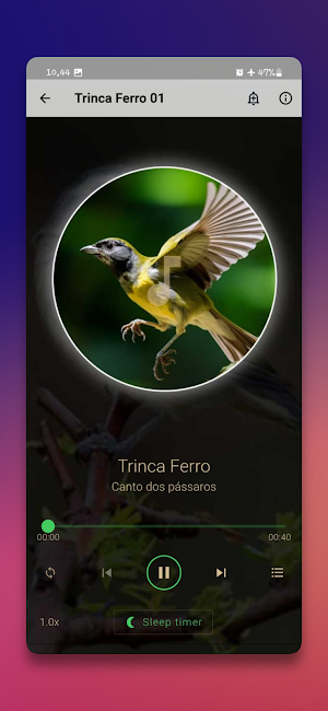 Canto Esquentar Trinca Ferro Screenshot 2