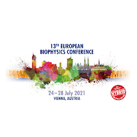 13th EBSA Congress 2021