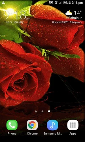 Red Roses Live Wallpaper Screenshot 1