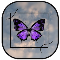 Beautiful Butterfly Wallpapers
