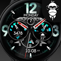Dream 101 - Hybrid Watch Face