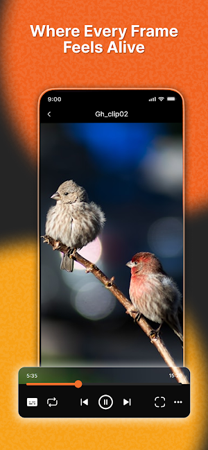Video Player All Formats HD 4K Screenshot 2