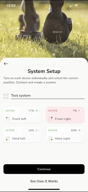 consteed Screenshot 1