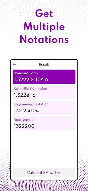 Standard Form Calculator Screenshot 2