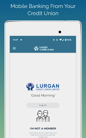Lurgan Credit Union Screenshot 3