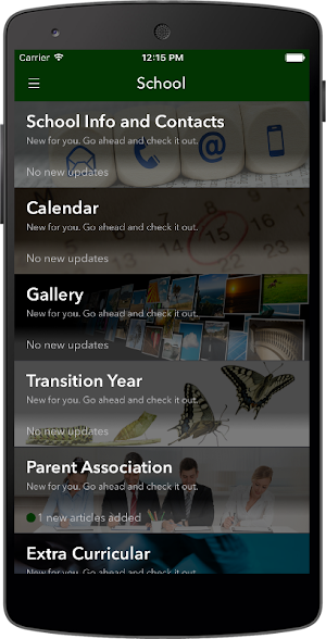 Ardscoil Mhuire, Ballinasloe Screenshot 3