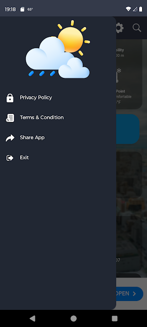 Weather WIse Screenshot 1