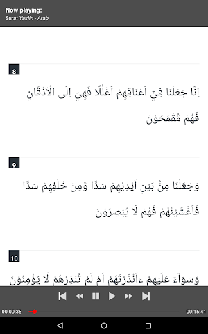 Surat Yasin MP3 Offline + Terjemah Screenshot 1
