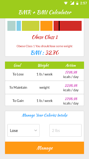 BMR & BMI Calculator Screenshot 2