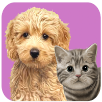 Animal kids dress up fun