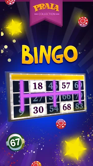 Video Bingo Ipanema Screenshot 1