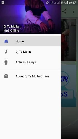 Dj Te Molla Remix Full Bass Offline Screenshot 1