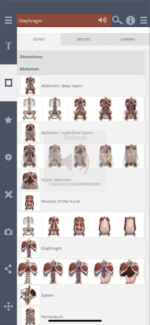 Primal's 3D Abdomen Screenshot 1