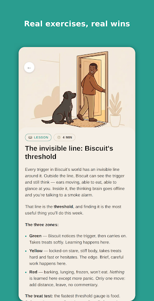 Dog Archetype: Dog Training Screenshot 3
