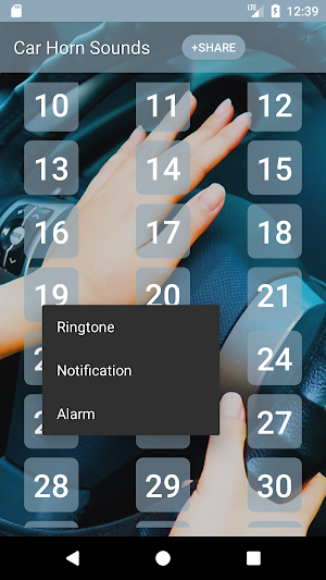 Car Horn Sounds Screenshot 2