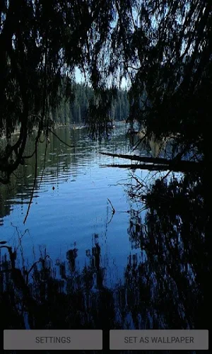 Evening Lake Live Wallpaper Screenshot 0