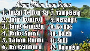 Lagu Papua Mp3 Offline screenshot 6