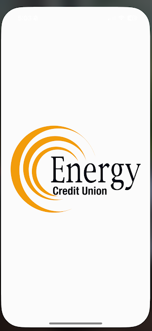 EnergyDEBIT Screenshot 1