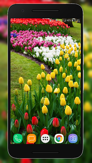 Garden Wallpapers 4k Screenshot 3