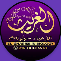 الغريب