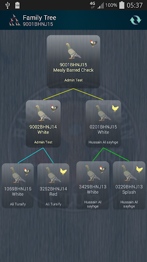 Bahrain Pigeons Screenshot 3