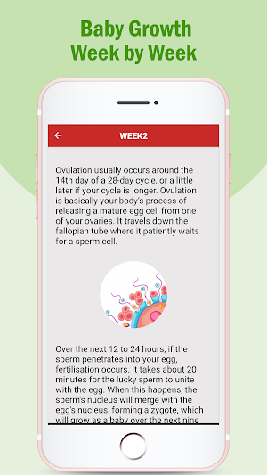 Pregnancy Care tips Screenshot 1