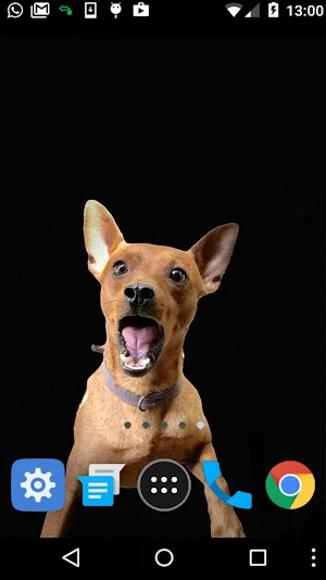 guard dog wallpaper Screenshot 1