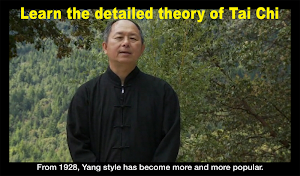 Yang Tai Chi for Beginners 1 by Dr. Yang Screenshot 2