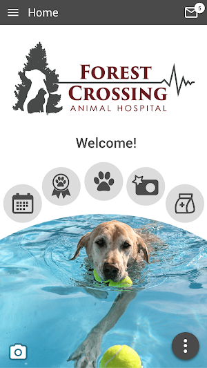 Forest Crossing AH Screenshot 0