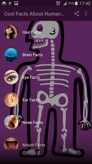 Cool Facts About Human Body Screenshot 0