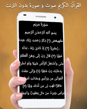 Abdul Basit Abdel Samad Quran Screenshot 3
