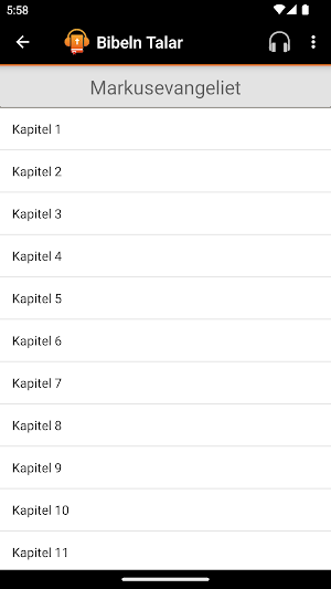 Bibeln Talar Screenshot 3