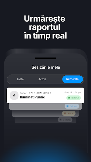 1Rezolvă Screenshot 2