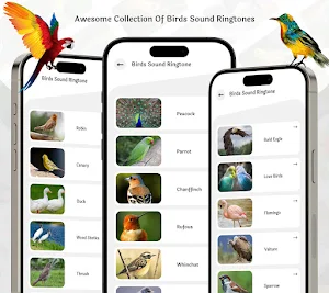 Birds Call Sound And Ringtones Screenshot 1